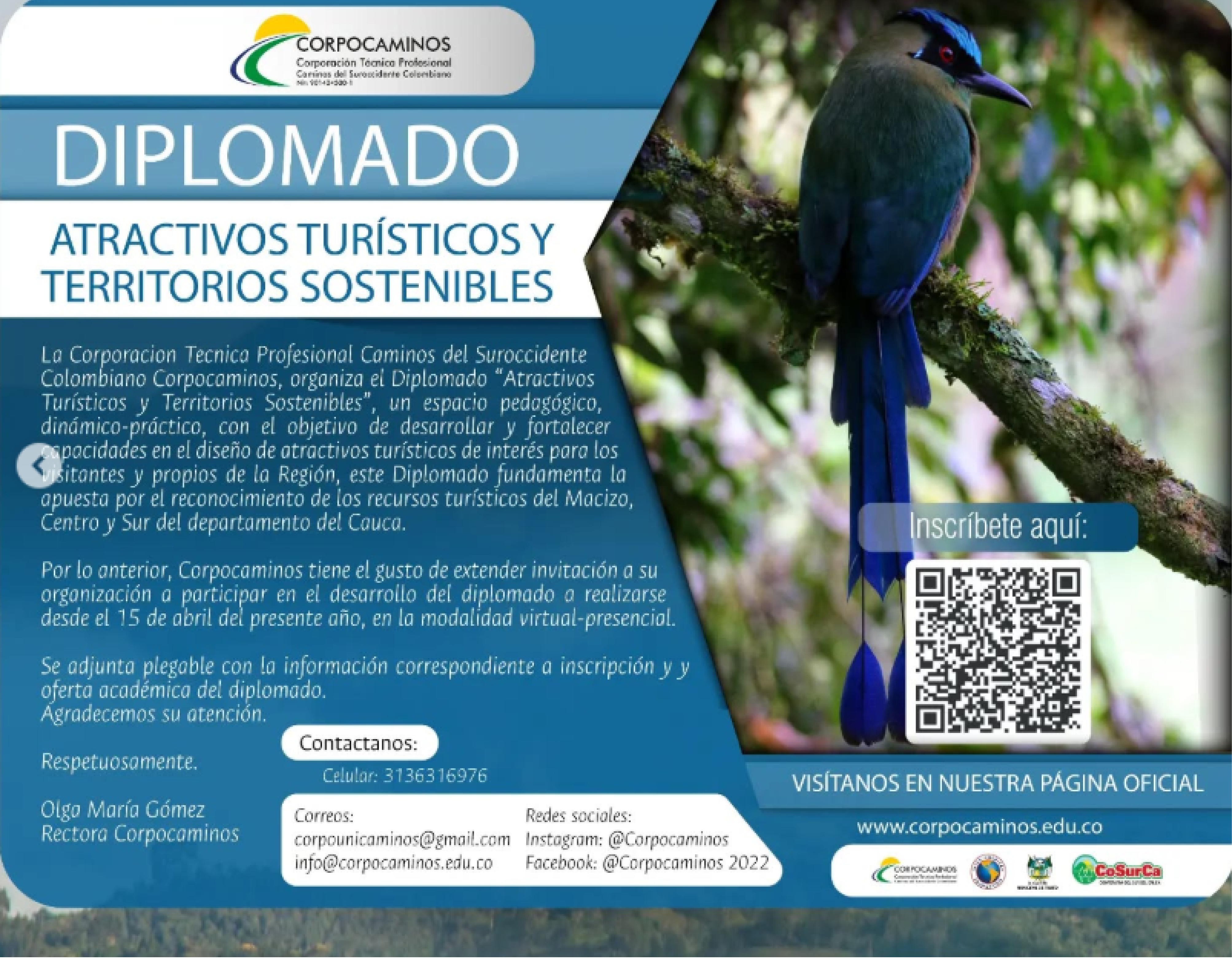 Diplomado turismo_Mesa de trabajo 1